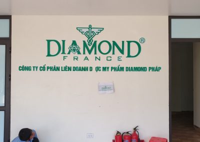 công ty Dược Diamond Pháp