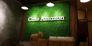 Backdrop cafe amazon